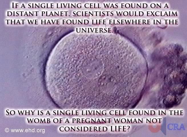 if a_single_living_cell_