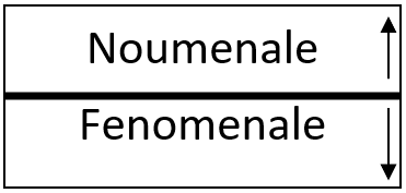 Die woorde 'noumenale' bo die woord 'fenomenale' met pyle wat na op en af wys